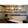 аренда снять  квартиру в г королев.