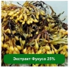 Экстракт Фукуса 25%,  1 кг