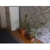 1к квартира посуточно центр