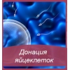 Потрібні послуги сурогатної мами