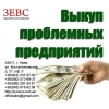 Выкуп проблемных предприятий