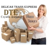 Курьерская Служба Доставки Delicar Trans Express DTE