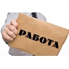 Помощники на выборы