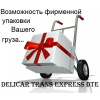 Курьерская Доставка DTE