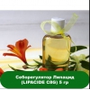 Липацид (Lipacide)