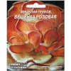 Міцелій грибів «Глива рожева» - 10 шт.